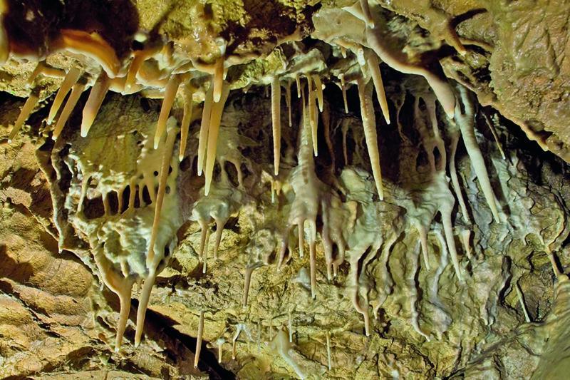 Rodinny Penzion Drevenka-Kulturni Pamatka Bozkovska Dış mekan fotoğraf